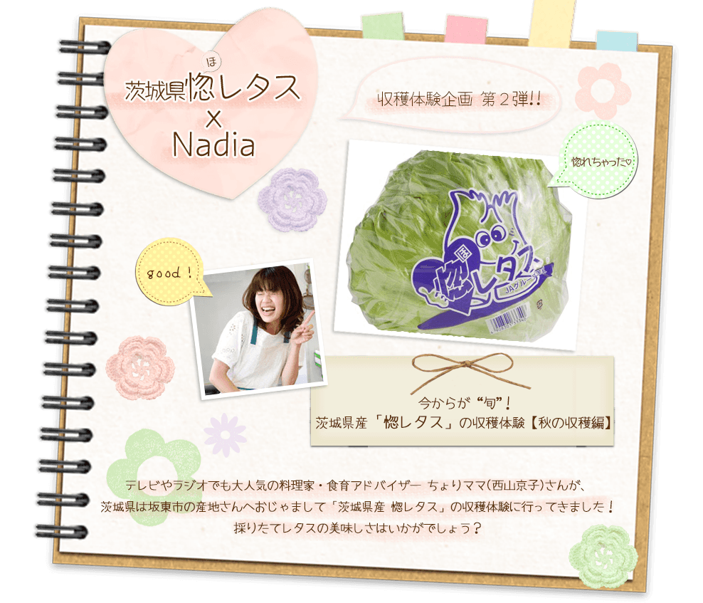 茨城県産惚レタス ちょりママの収穫体験レポート第二弾 レシピサイト Nadia ナディア プロの料理家のおいしいレシピ
