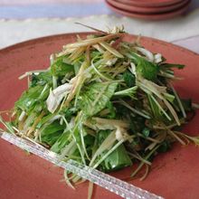 蒸し鶏と香味野菜のサラダ