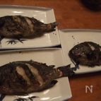 塩焼き　メジナ(グレ)料理⑥
