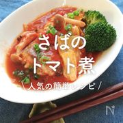「さばのトマト煮」10選｜人気の簡単レシピ
