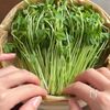 とろける豚キムチーズ蒸しの工程3