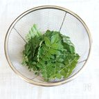 山椒の葉の保存方法