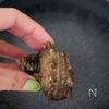 サザエとブロッコリーのバター醤油蒸しの下準備