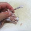 手羽先ハンバーグ　トマトケチャップ煮込みの工程4