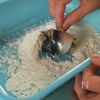 イワシの梅肉しそクルリン巻き　イワシ料理②の工程11