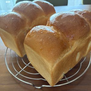こむぎの作ってみた!投稿(1歳児もパクパク!シンプル食パン)