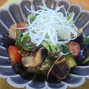 nonkoの作ってみた!投稿(【揚げなすの薬味たっぷりサラダ】簡単！デパ地下風)