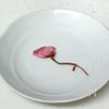 電子レンジ10秒 桜の花の塩漬けの咲かせ方｜失敗しない塩抜きの工程2