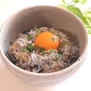 とのちゃまの作ってみた!投稿(テレワークのランチに！5分で出来る『しらす納豆丼』)
