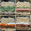 【マグロと長芋の巻き寿司】濃厚♡ねばシャキ食感がクセになる♡の工程2