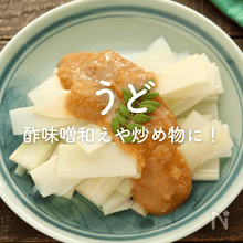 「うど」人気レシピ｜酢味噌和えやおつまみ、炒め物に天ぷらも！