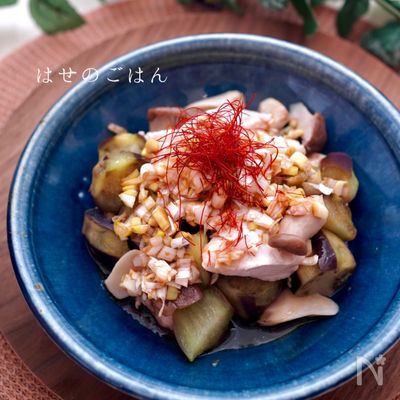 麺つゆで簡単♪【なすと鶏肉のぶっかけネギだれ】