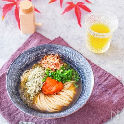とろろ昆布と梅干しのおうどん