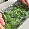【菜の花のおひたし】5分 味付け一つ、季節のごちそうの工程2