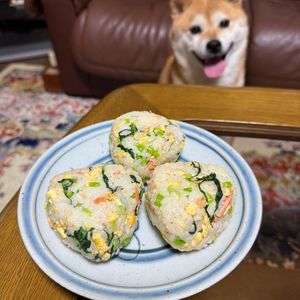 レイチーの作ってみた!投稿(ごま油香る！簡単！鮭と小松菜と卵の混ぜ込みごはん)