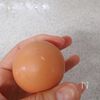 鮭ポテエッグのシチューグラタンの工程1