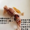たけのことホタルイカのスパゲティの工程1