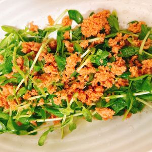 煌蓮mamの作ってみた!投稿(鮭と豆苗のレモンオリーブ和えサラダ。)
