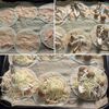 【キノコの明太マヨミニピザ】濃厚＆パリッと食感！簡単おつまみの工程2