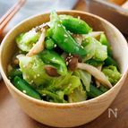 『春野菜ときのこの彩りうま塩ナムル』味付け簡単♪作り置き◎