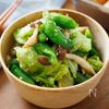 『春野菜ときのこの彩りうま塩ナムル』味付け簡単♪作り置き◎