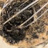 フリーザーバッグで簡単!濃厚黒胡麻アイスの工程1