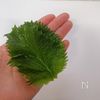 カリカリお揚げの大葉しょうが醤油の工程1
