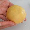 爆速!クリームメロンパンの工程3