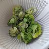 下味冷凍で簡単！【手羽元とじゃがいものトマト煮込み】の工程3