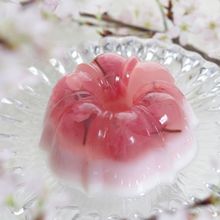 簡単！春〜な2層の綺麗な♡桜寒天と桜ミルク寒天