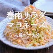 「春雨サラダ×マヨネーズ」30選｜人気のサラダ
