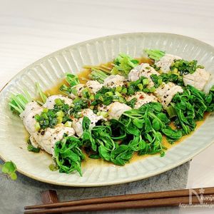 レンジで簡単・時短!!さっぱりヘルシー！野菜巻きしゃぶしゃぶ
