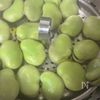 海老とそら豆の豆板醤マヨネーズ和えの工程1
