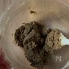 ほうじ茶と黒糖の米粉クッキー〜抹茶チョコがけ〜の工程3