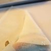 鯵と梅紫蘇の揚げ春巻きの工程2