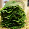 大葉（紫蘇）の佃煮の工程1