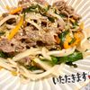 綾鷹ルイの作ってみた!投稿(【プルコギ風スタミナ炒め】ポリ袋で簡単味付け♪炒めるだけ！)