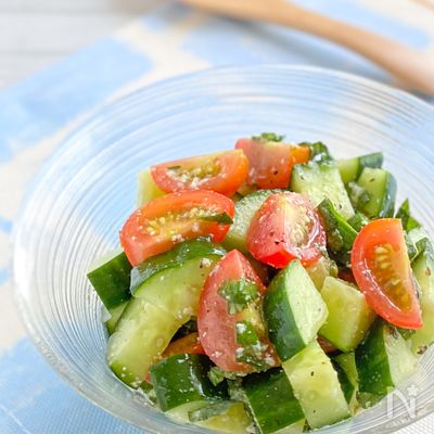 切って和えるだけ！きゅうりとトマトの塩麹サラダ