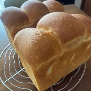 こむぎの作ってみた!投稿(毎日食べても飽きない!食パン)