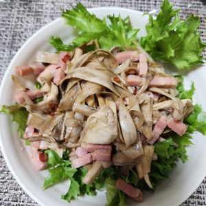 とももの作ってみた!投稿(簡単♡デリ風《ごぼうときのこの腸活サラダ》)