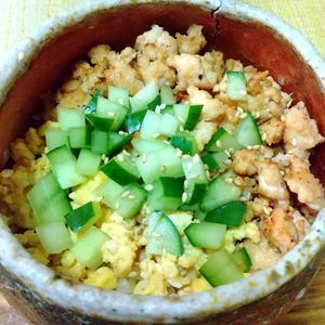 チョロリスの作ってみた!投稿(5分で絶品!【王道の鶏そぼろ丼】簡単・混ぜるだけ♡)