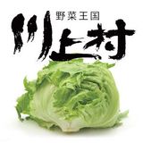 川上村レタス