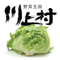 川上村レタス