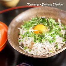 釜揚げしらす丼