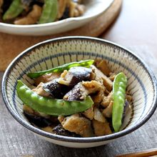 茄子と豚肉と油揚げの練り胡麻煮