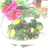 tennisloveの作ってみた!投稿(食べたら止まらない！やみつききゅうり)