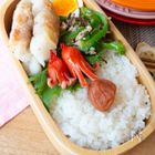 困ったらコレ!アヤコの豚肉巻き弁当|必殺!アヤコの10分弁当Vol.25