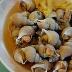 白バイ貝と白菜の煮込み
