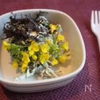 オータムポエムとからし水菜のチーズドレッシング