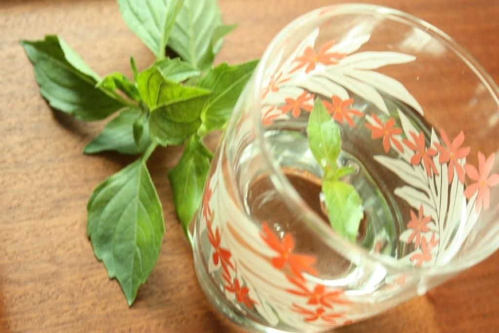 ミントの使い道 ミントシロップ レシピサイト Nadia ナディア プロの料理家のおいしいレシピ